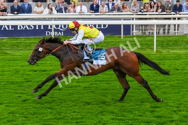 280723-Race 7-Knebworth-0803 - Race 7 8.20pm Sky Bet Go-Racing-In-Yorkshire Summer Festival Handicap