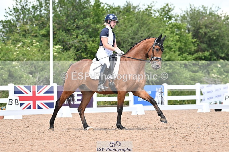 240621A-124409-02219 - Cls 7 BD Elementary 45