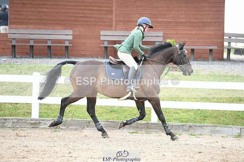 250803-090140-11707 - Cls 31 a&b British Novice & 90cm Open