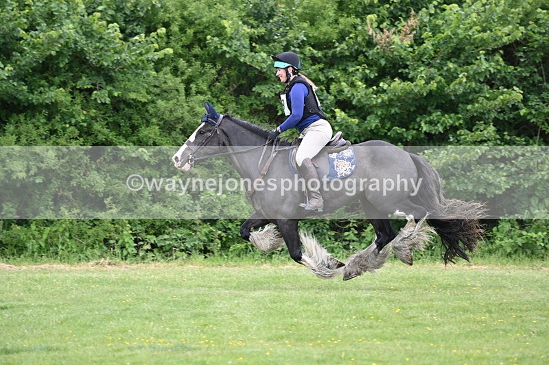 WJ6_3219 - Class 4 60cm