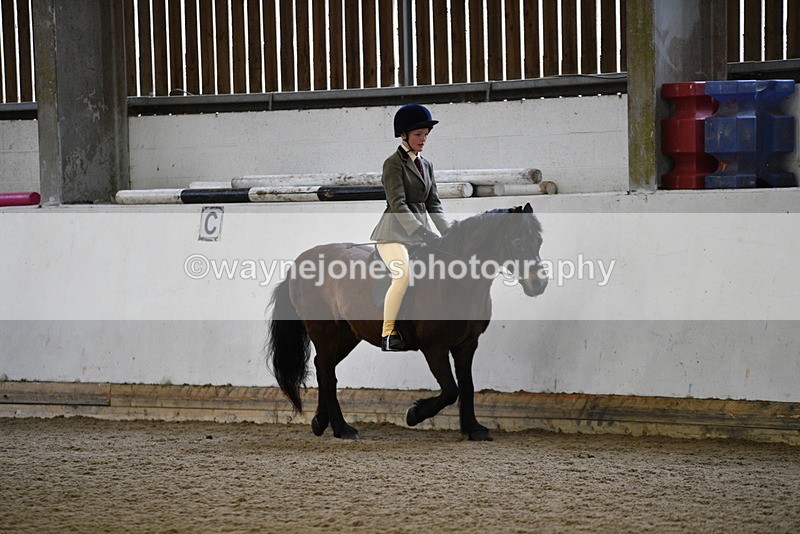 WJ5_6505 - Class 10 Childs Pony