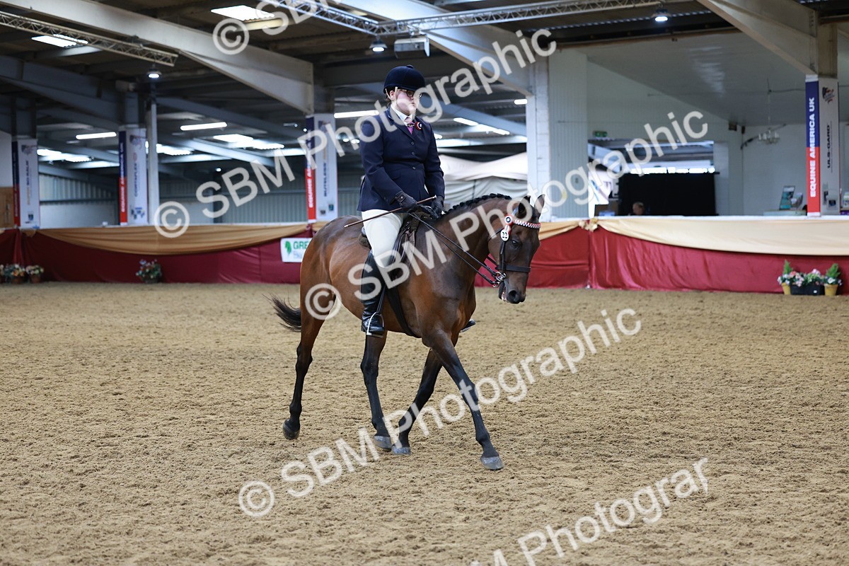 SBM_14943 - Class 108 - Ridden Retired Racehorse