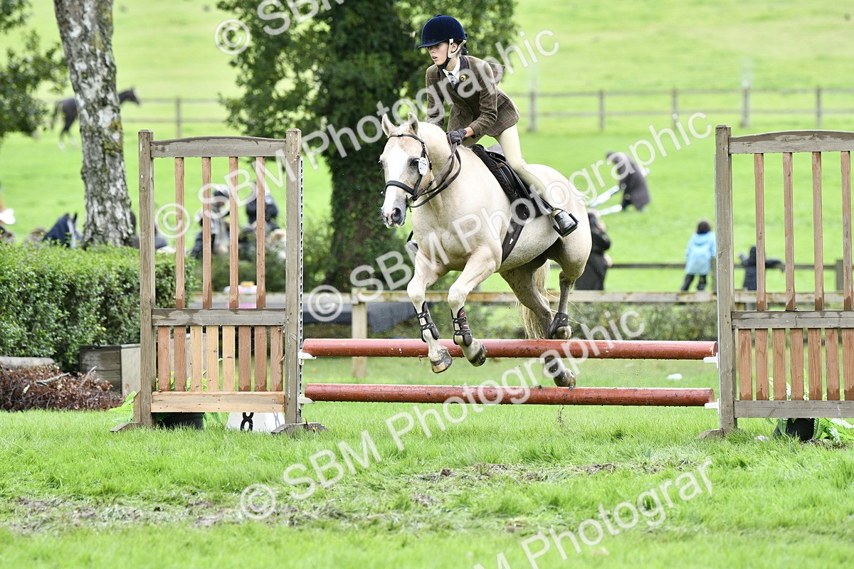 SBM_45599 - S33 - Working Hunter Pony