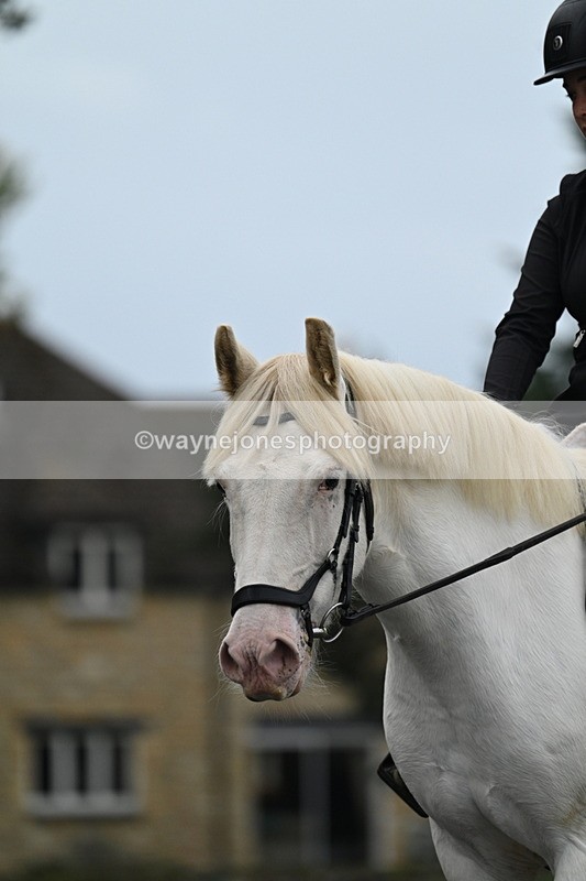 WJ7_2853 - Time 09:00 to 09:35