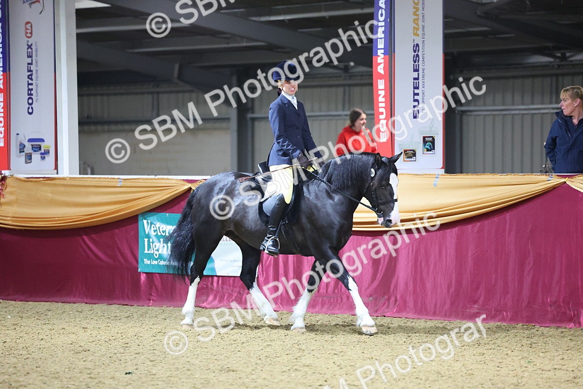 0B8A4665 - Class R Working Veteran Champ