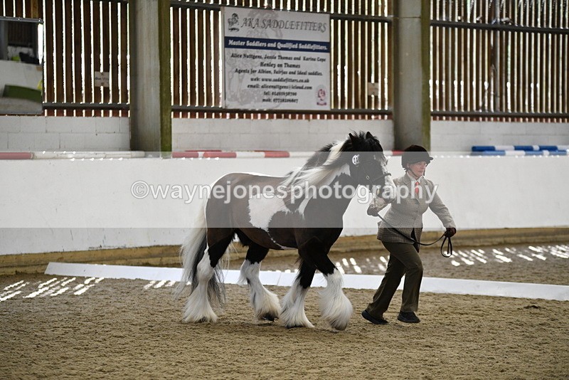 WJ5_5025 - Class 7 In hand coloured / odd coloured