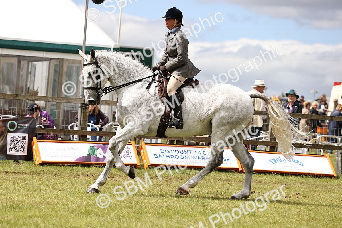 SBM_14680 - Class 88-89 - LIHS BSHA Rising Star of Ridden Hunter Type