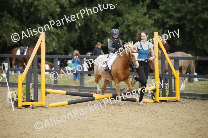 20250622-1318 - 40cm