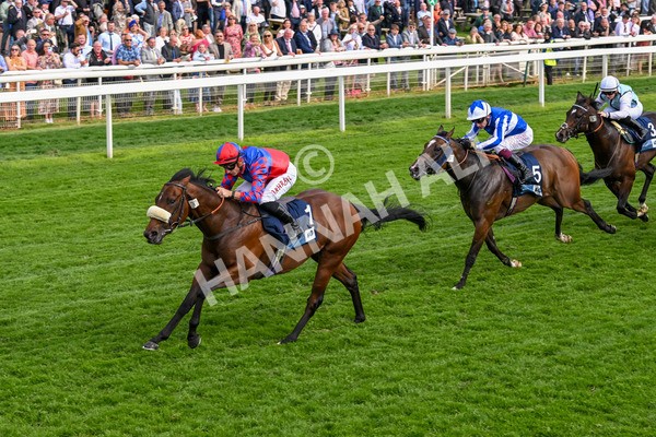 160524-Race 5-Big Evs-6337 - Race 5 4.15pm  British Stallion Studs EBF Westow Stakes
