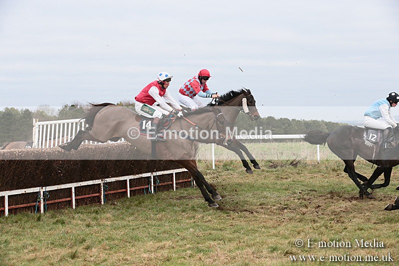 PtP 060119 267 - Larkhill Racing Club - Point-to-Point- 06/01/2019