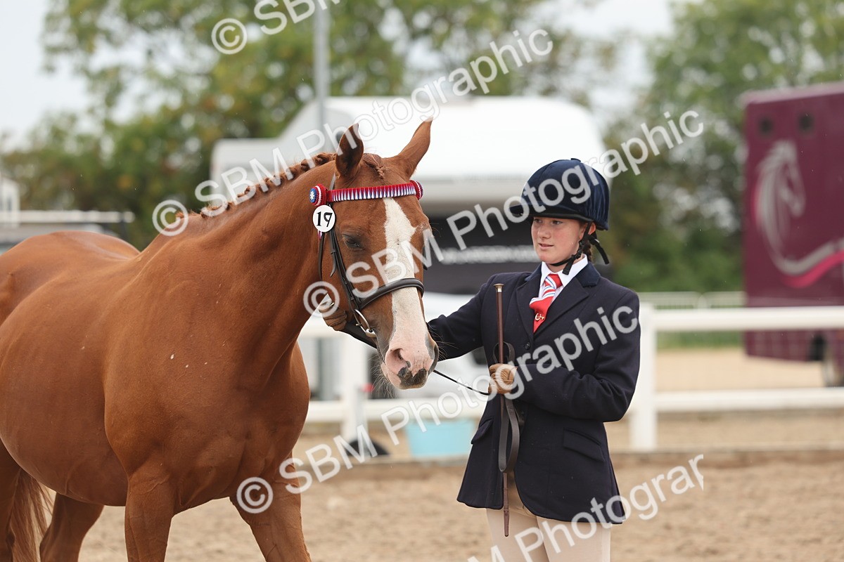 SBM_00574_Class 13 - Young Handler - Alison C