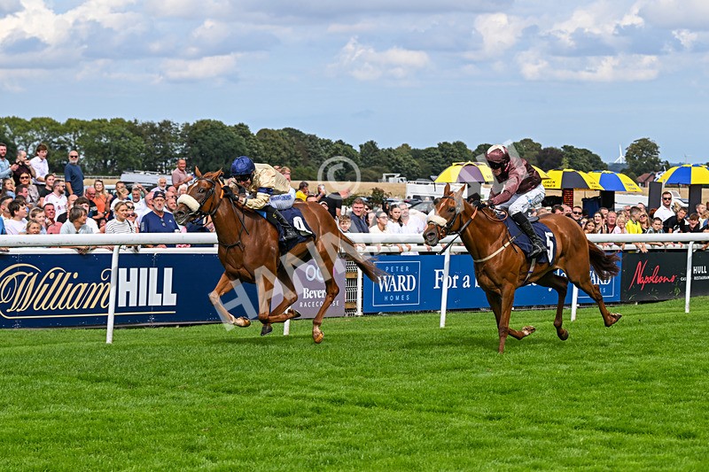 300826-Race 3-Pivotal Voyage-0190 - Race 3 2.50pm Churchill Tyres EBF Restricted Maiden Fillies' Stakes