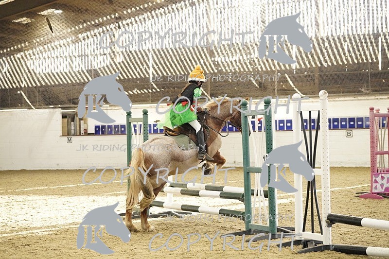 _DSC3277 - 50cm/60cm Pairs