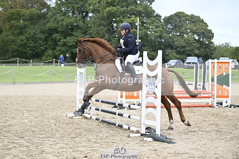 251005A-122909-03802 - Cls 08 Mini 70-75cm