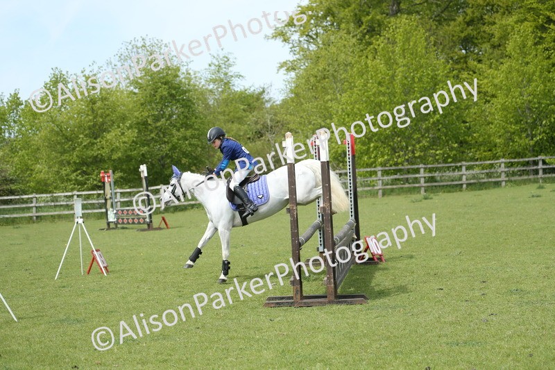 20260426-2026 - Class 15 - Absolute Novice 70cm
