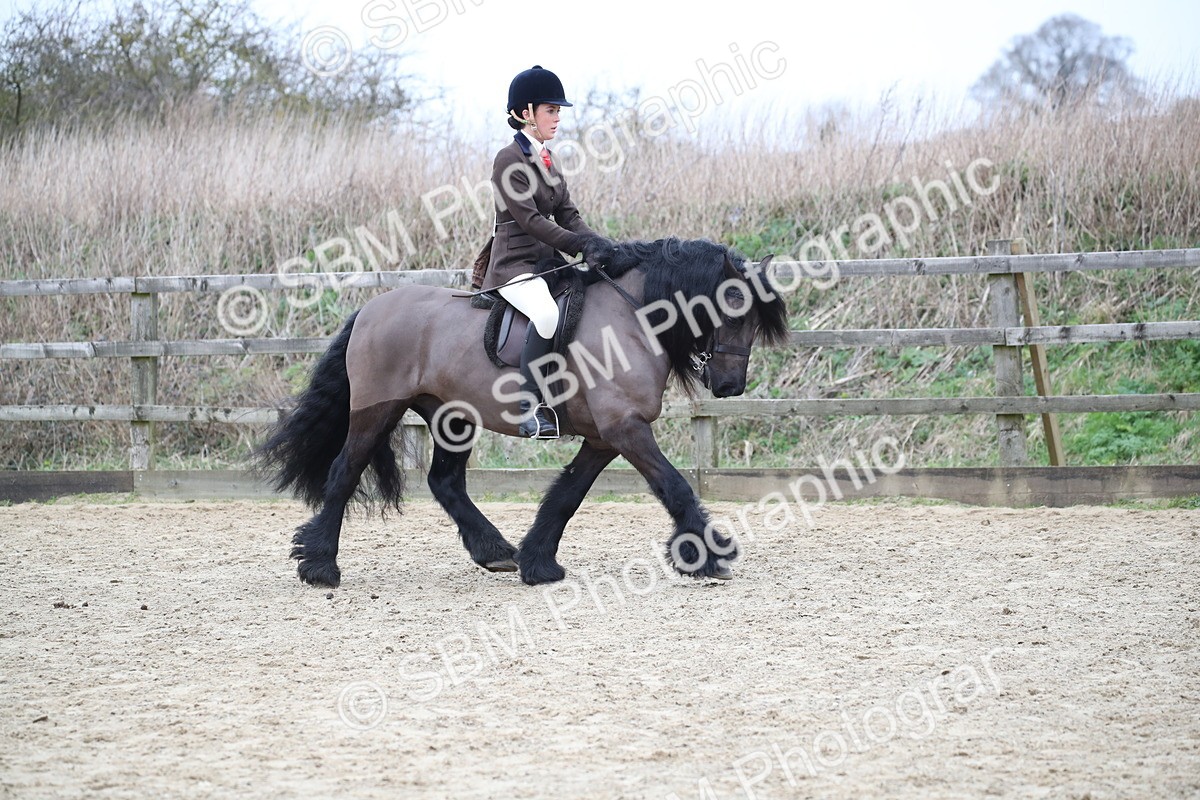 SBM_006292 - Class 10-13 - RIHS Small Large Breeds