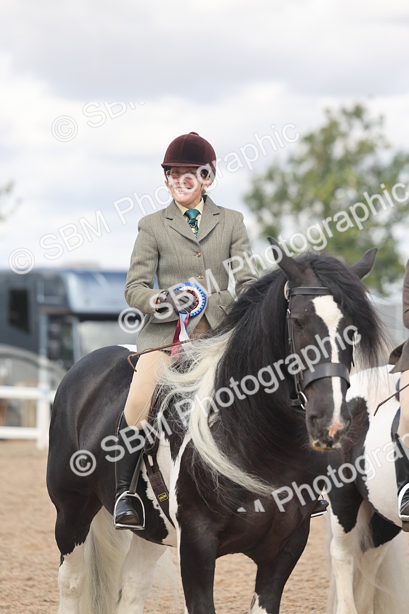 SBM_14842 - Class 308 - Ridden Coloured Horse