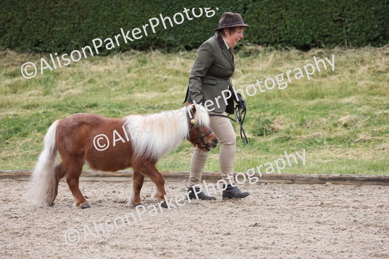 20250524-0005 - Class 1 - Best Condition