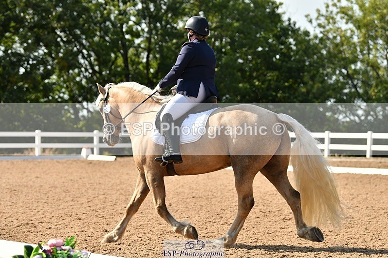 250817-161609-11535 - 216-Chloe.WaltonHaytors.Lord.of.the.Dance