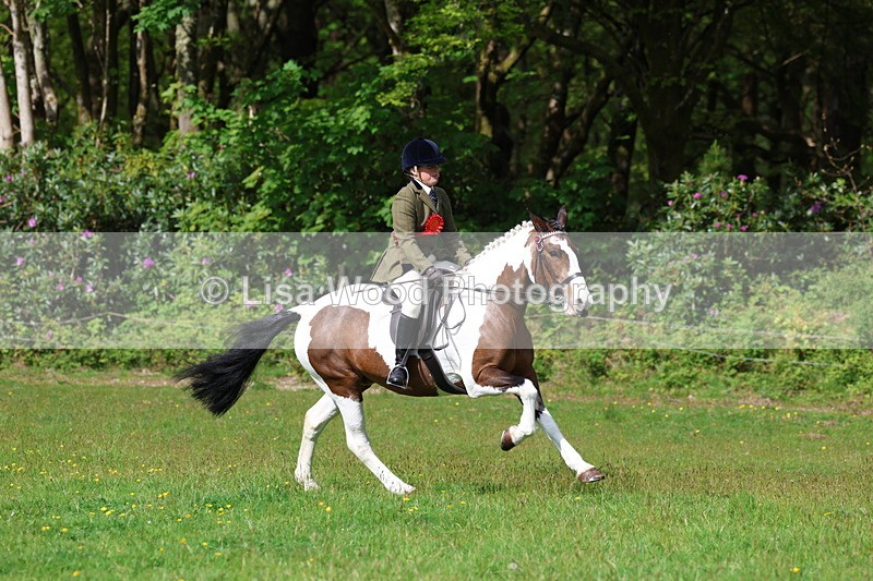3E7A2657 - Working Hunter Championship