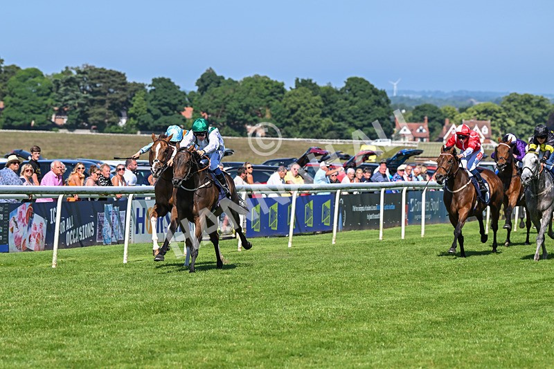 250624-Race 6-Cockalorum-5965 - Race 6