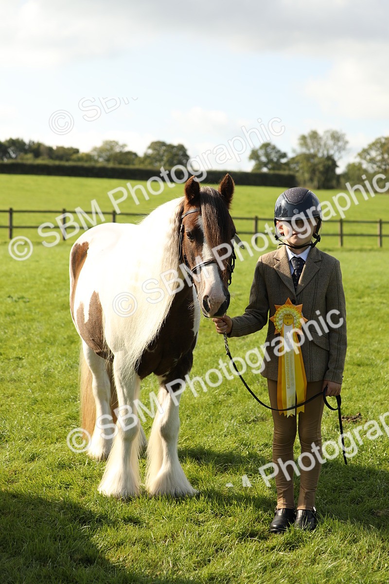 SBM_62365 - S45 - Mini Show Cob In Hand