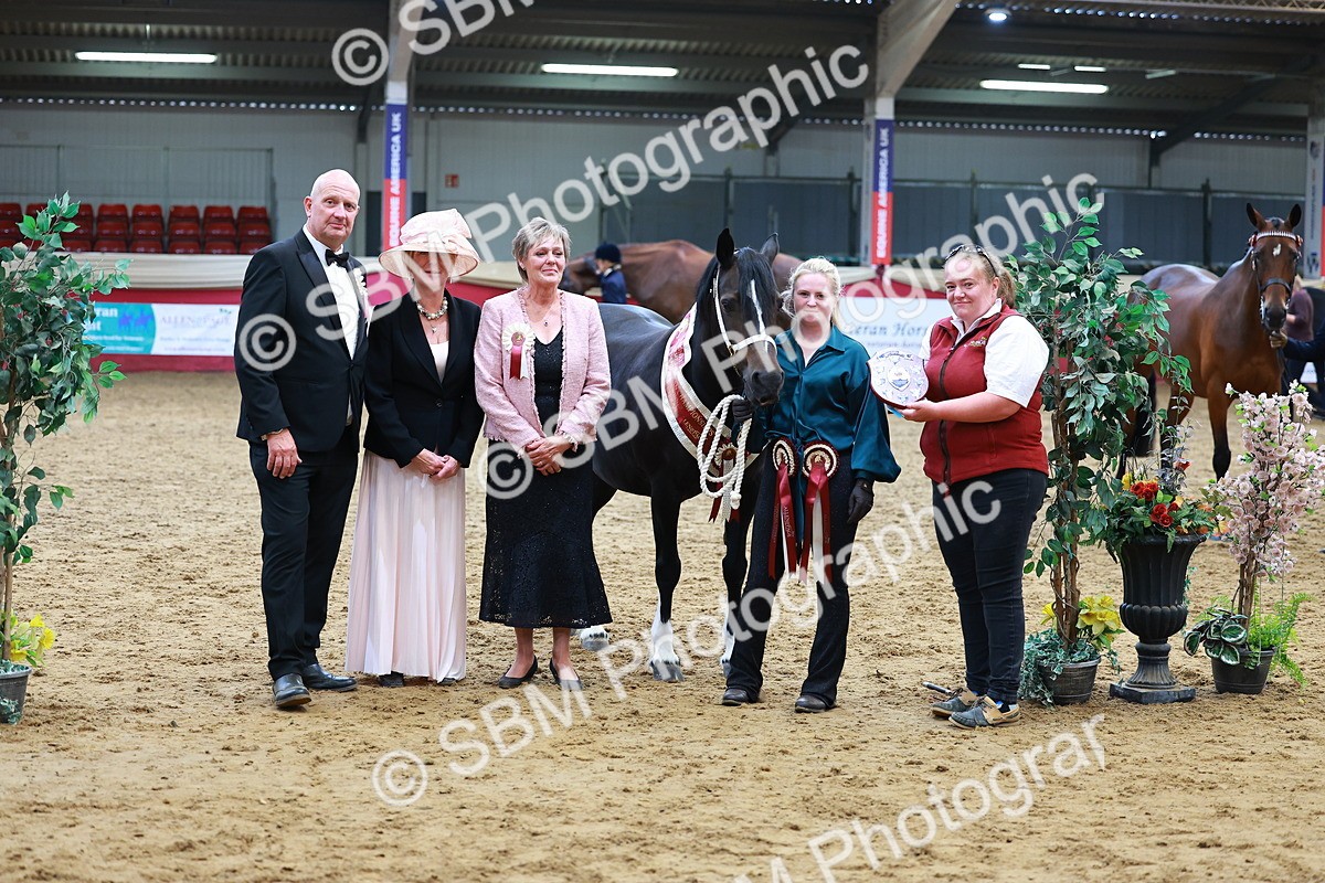 SBM_18730 - Class 903 - Sup Final - IH Pre Vet