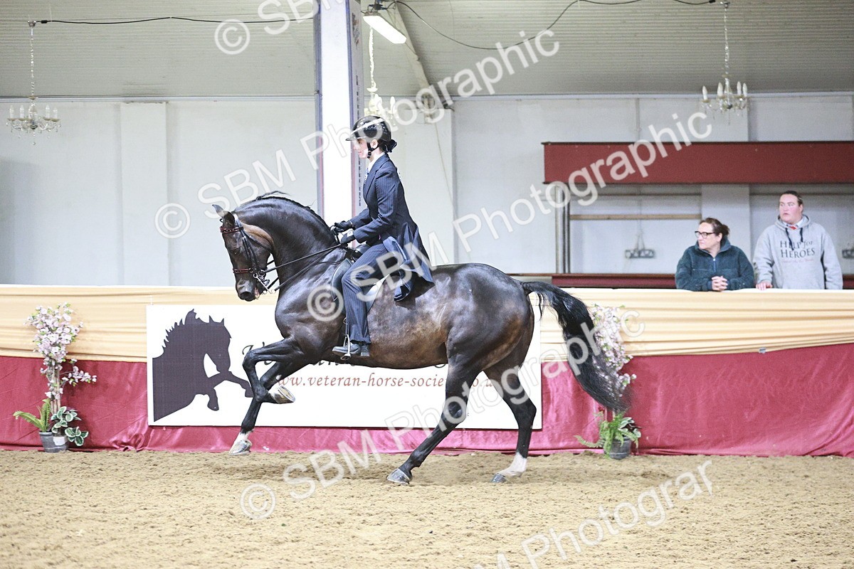 SBM_03366 - Class 6A Area Ridden Pre-Vet