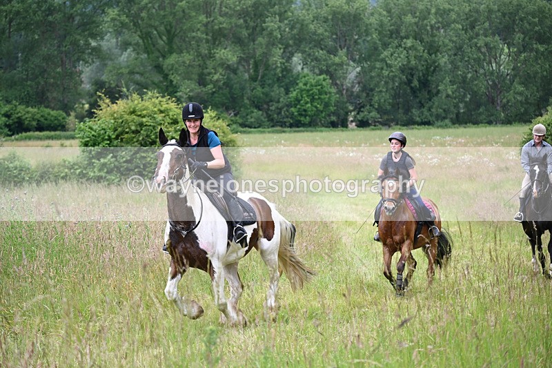 WJ6_8203 - Camera 1 Gallops