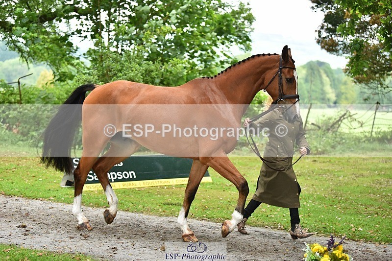 240522-171406-01470 - 255-BALANCERO-Laura_Collett