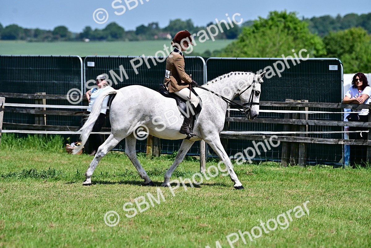 SBM_15262 - Class 95-97 - BSPS LHS Performance Ponies