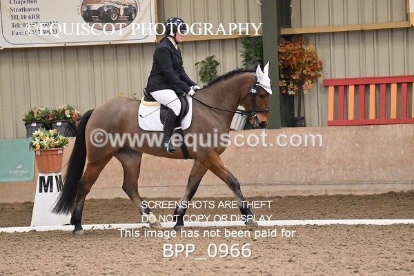 BPP_0966 - 10 - K MURDOCH