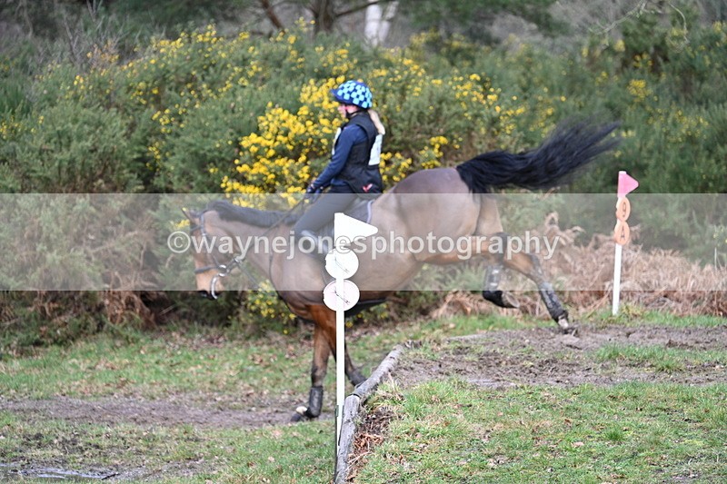 WJ7_8164 - Time 11:09 to 11:38