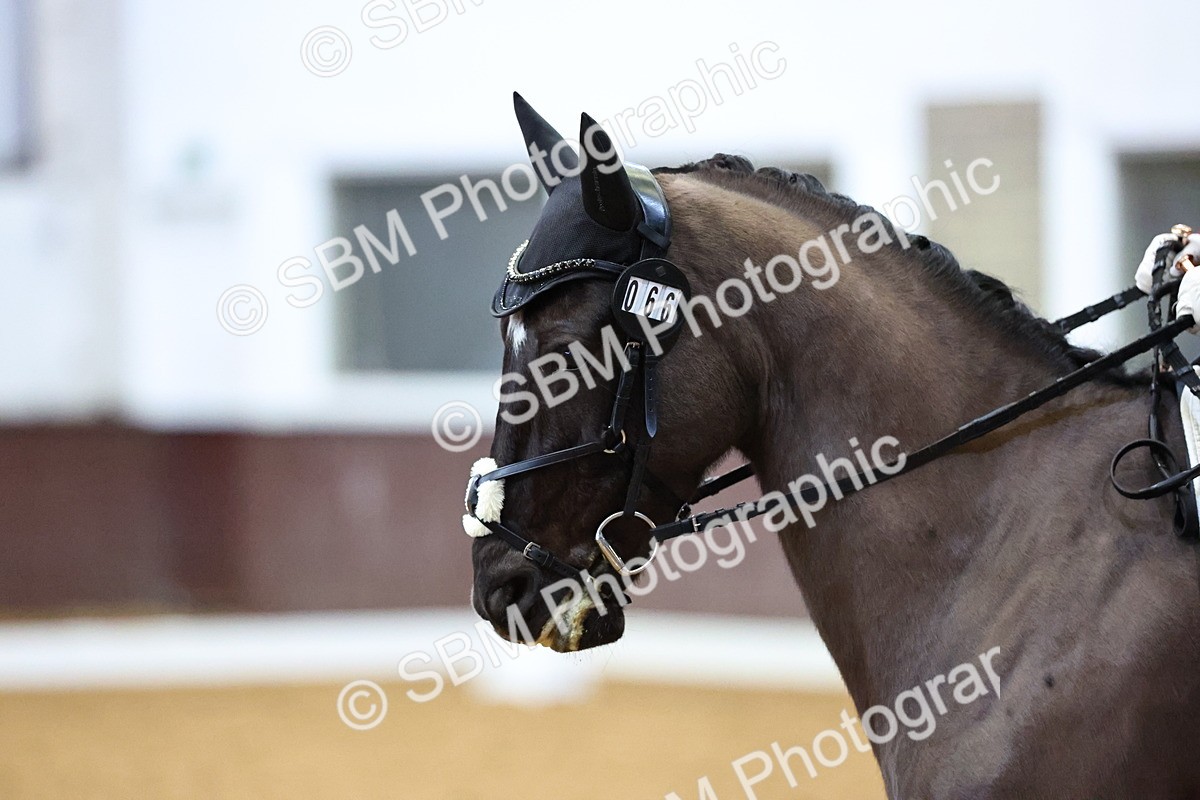 SBM_002250 - Class 15-17-19-21 - FSM