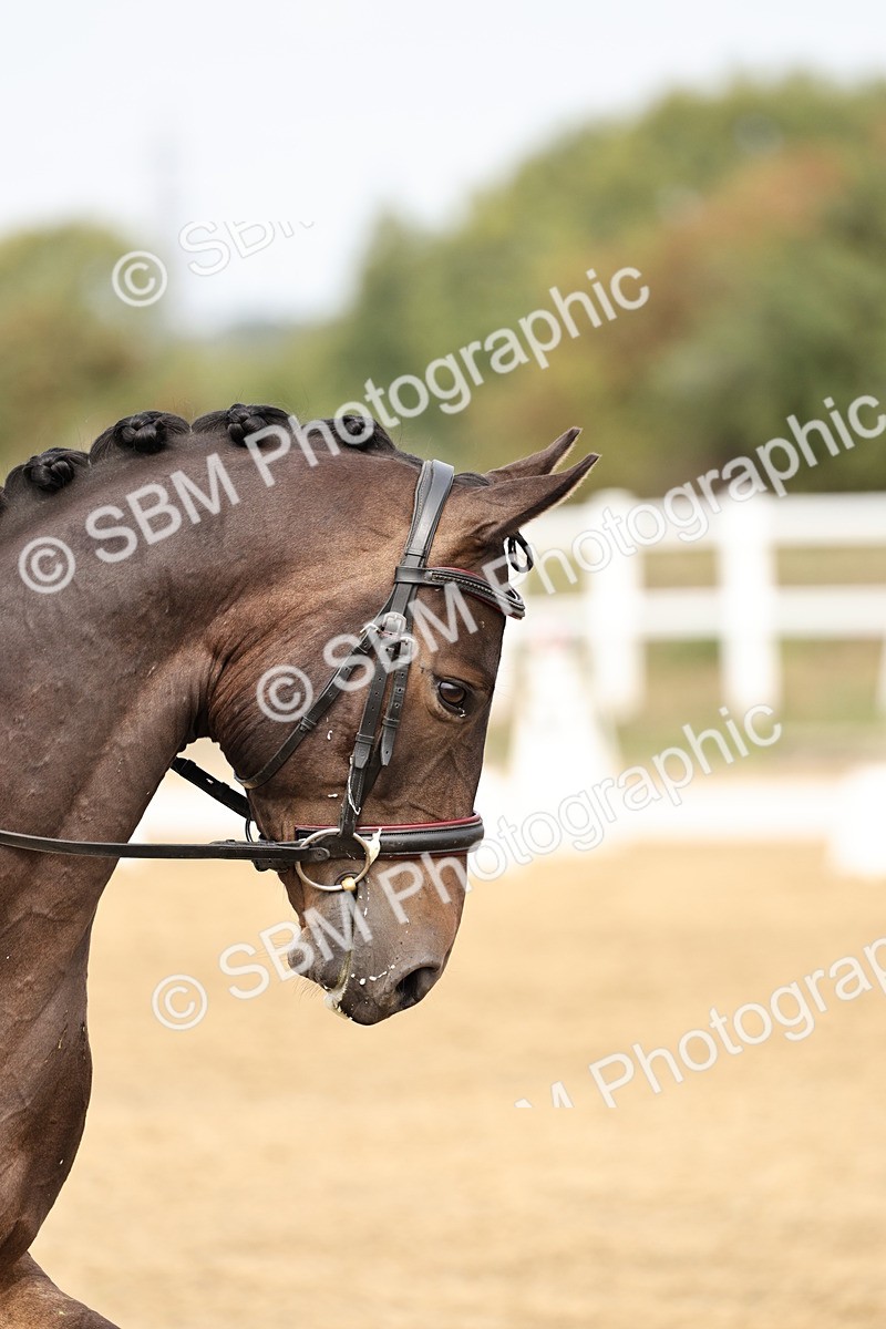 SBM_012406 - Class 2 - Prelim 5