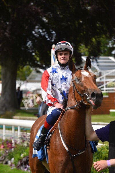 yr09072021r3-27 - Race 3 3.15pm William Hill Pick Your Places Irish EBF Novice Stakes