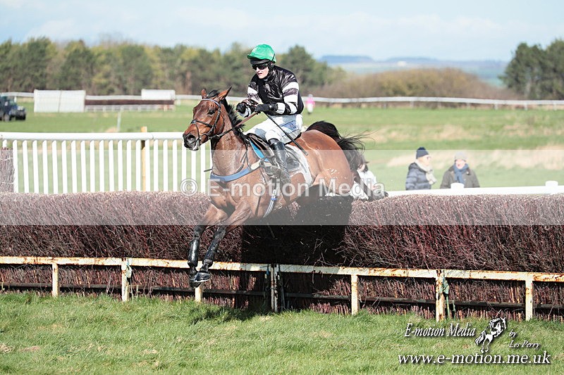PtP 230324 543 - Tedworth Hunt PtP Larkhill Raccourse 23rd March 2024