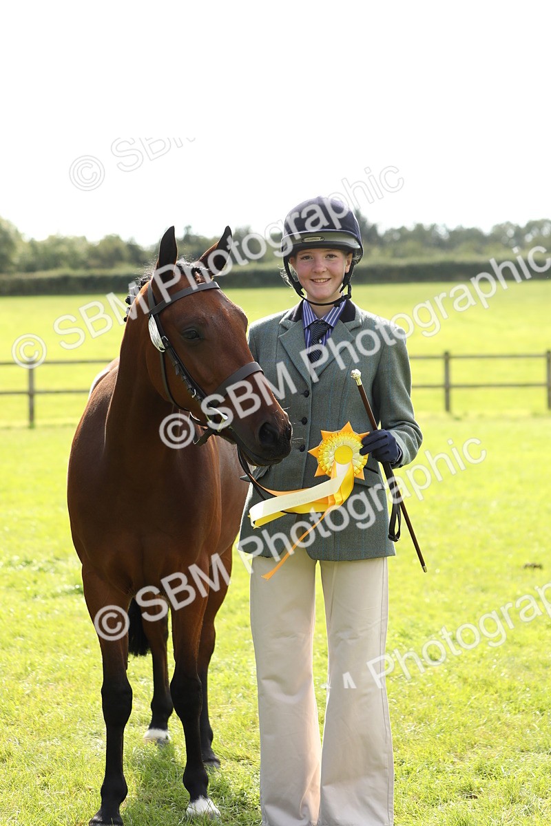 SBM_65633 - S48 - Show Pony & Show Hunter Pony In Hand