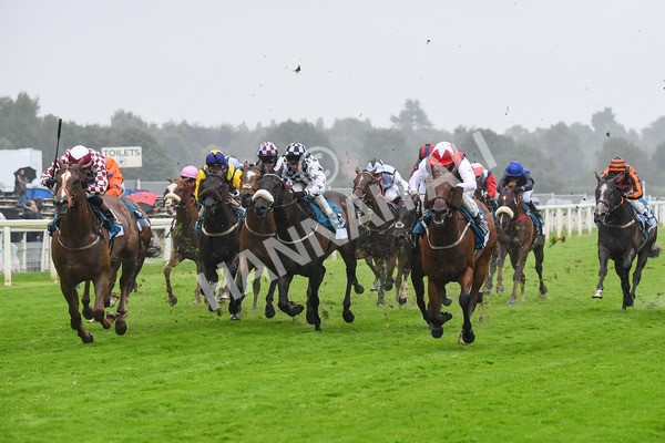 140723-Race 6-Copper Knight-0605 - Race 6 4.55pm Irish Thoroughbred Marketing Handicap