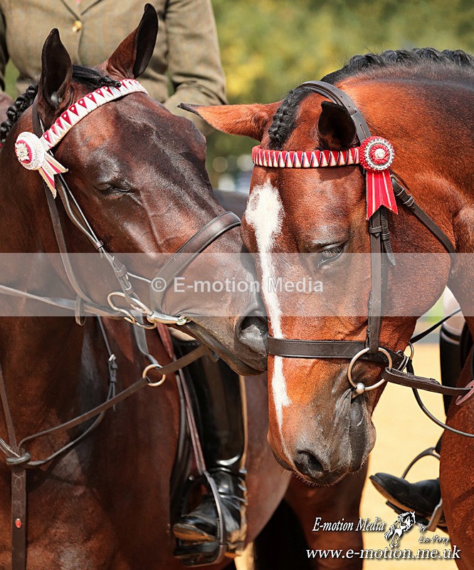 ADDHT  080923 744a - Equestrian