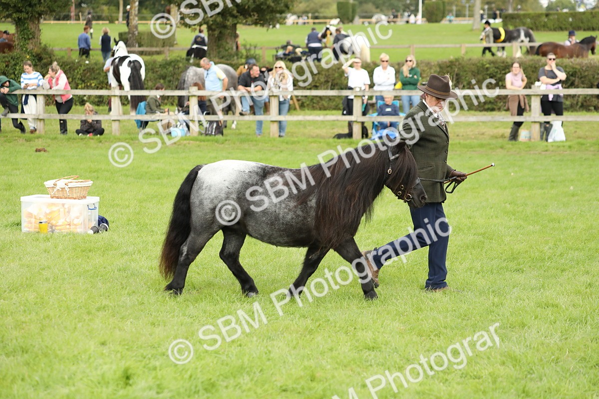 SBM_62787 - S46 - Mountain & Moorland In Hand Small Breeds