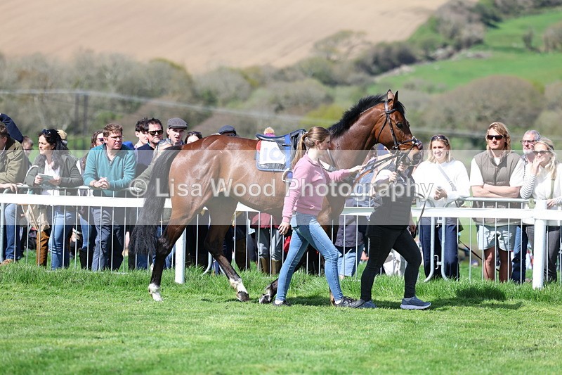 3E7A0885 - Race 4: Four & Five Year Old Maiden