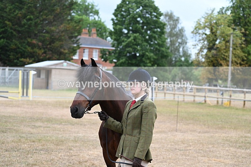 WJ7_9549 - Class 5 Most Handsome Gelding (up to 14.2hh)