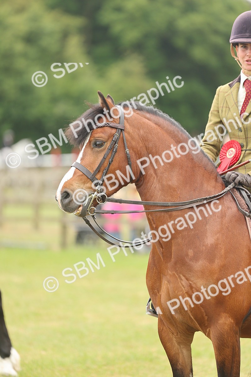 SBM_07264 - Class 76-77 - Ridden M&M Welsh Ponies