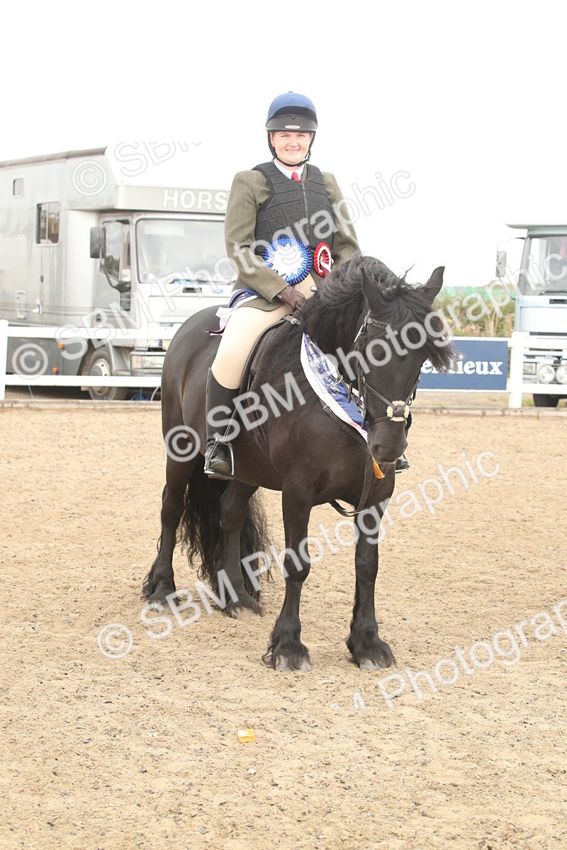 SBM_16691 - Class 507a - Working Veteran - 60cm (15-19)