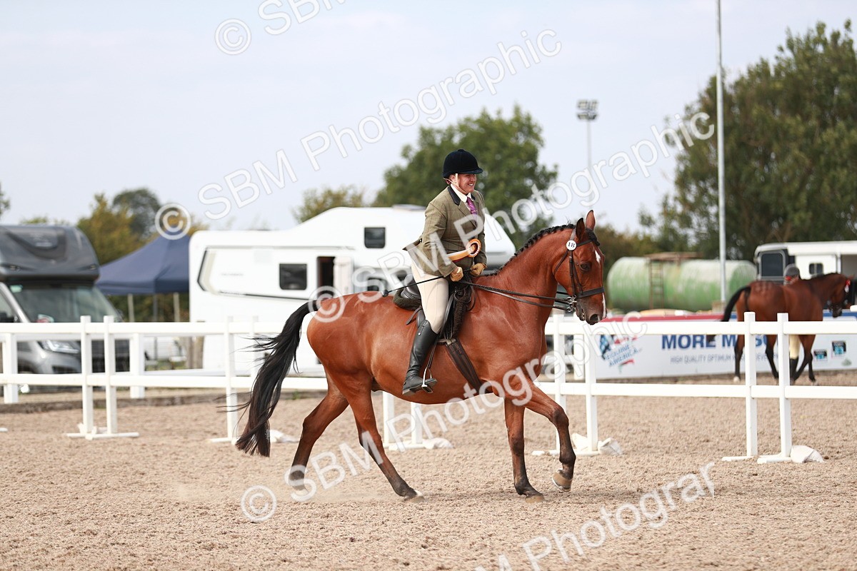 SBM_15557 - Class 213 Ridden Hunter -Large