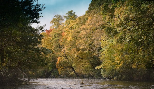  - Scaur Valley