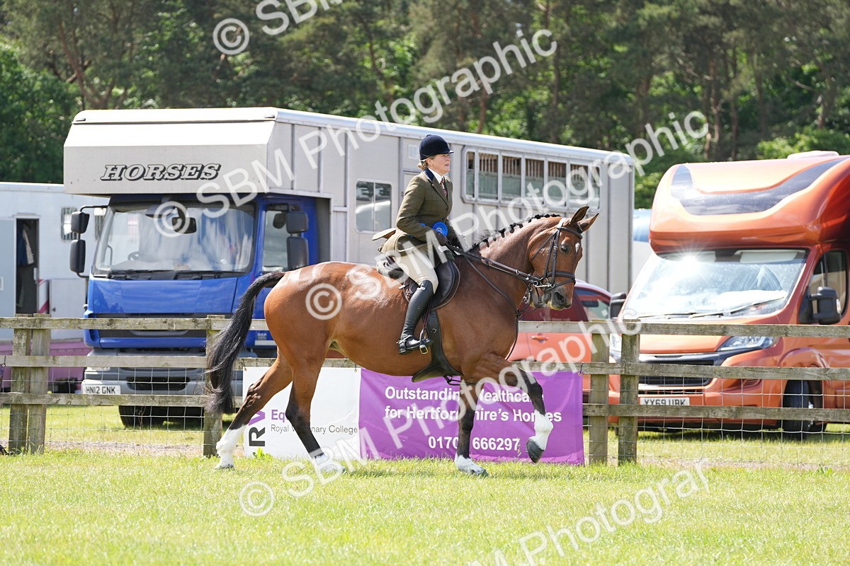 SBM_15063 - Class 100-102 - RIHS Working Hunter