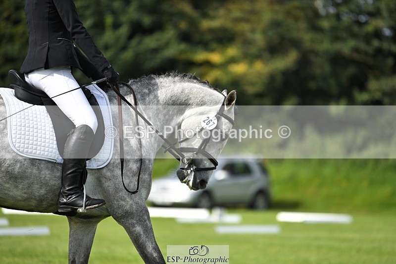 230826-105303-15634 - Sections C & D 10 to End