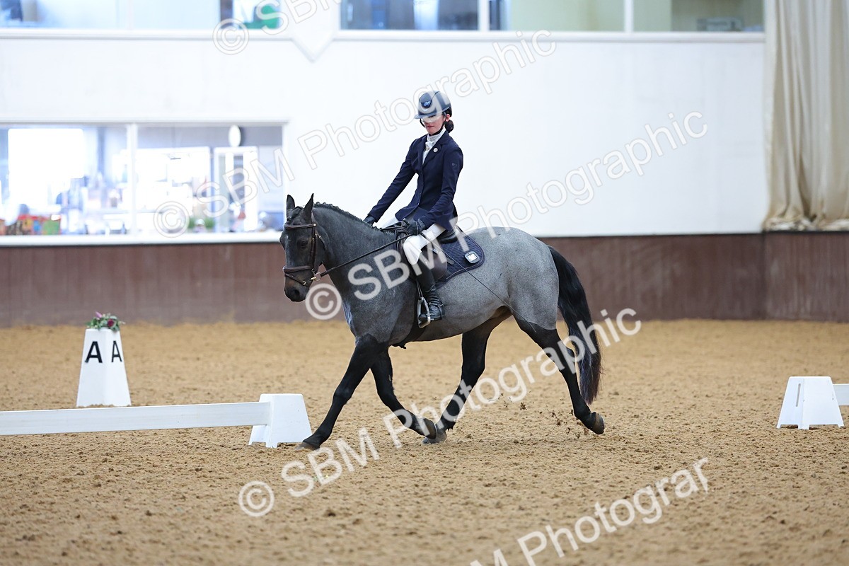 SBM_002588 - Novice